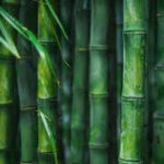 Josie – leerkracht